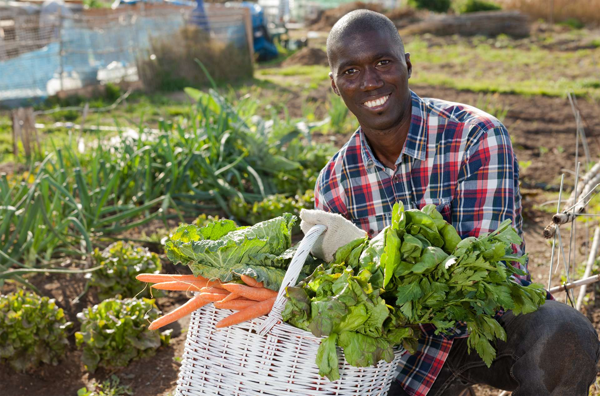 JOE SLOVO FOOD GARDEN PROJECT, PORT ELIZABETH 20 SEPTEMBER 2023 Agri