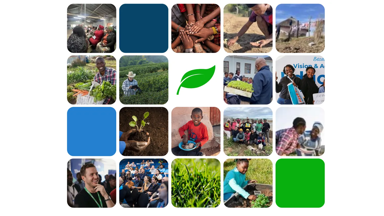 A mosaic of symposium delegates, farmers, and Agri Vision Foundation community projects